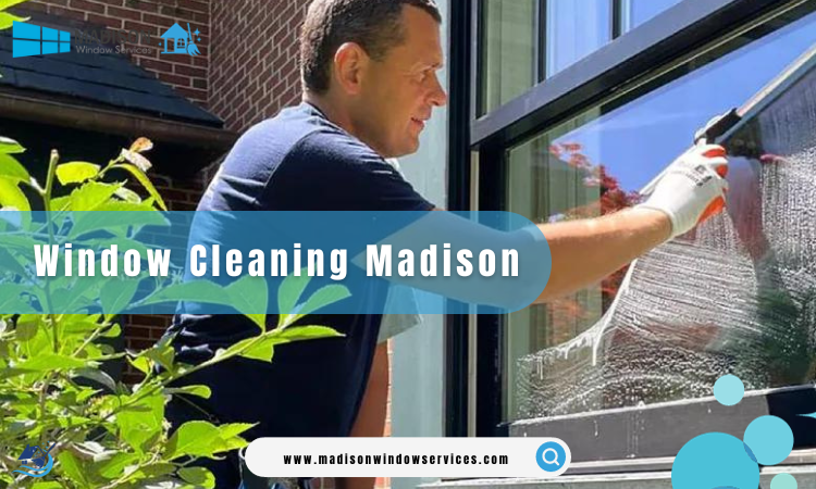 Window cleaning madison